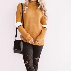 Colorblock turtleneck